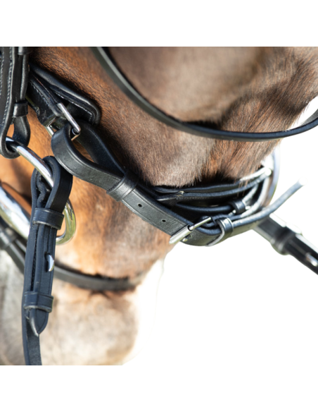 HFI Shiny Bridle Black