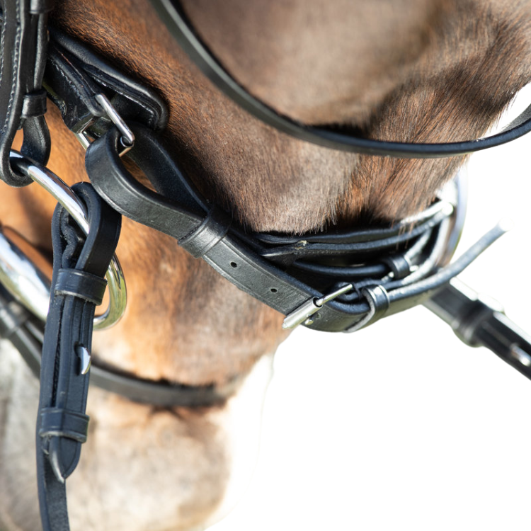 HFI Shiny Bridle Black