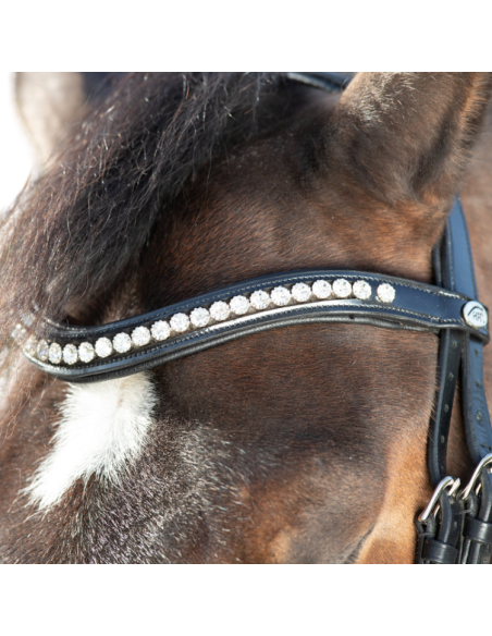 HFI Shiny Bridle Black