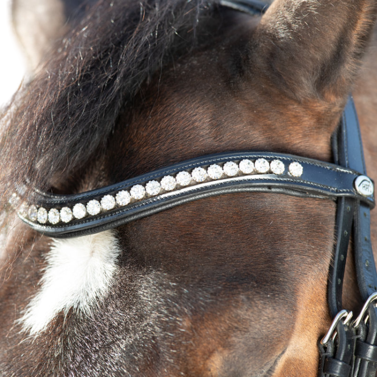 HFI Shiny Bridle Black