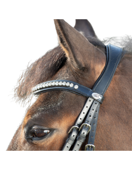 HFI Shiny Bridle Black