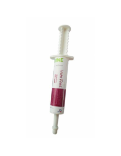 Alliance Equine Vita'Foal