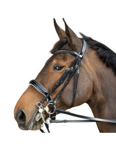 HFI 2 in 1 Weymouth Bridle Black/white