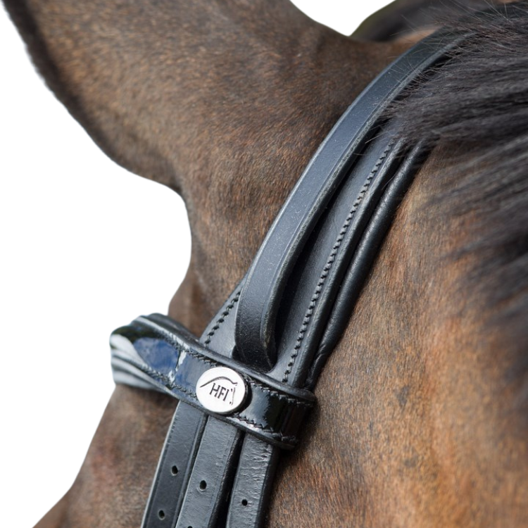 Bride De Cheval Anglaise En Cuir Noir Jewelhide, Rembourrée Vague Bleu Cristal