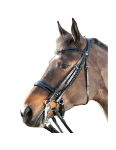 HFI 2 in 1 Weymouth Bridle Black/white 2