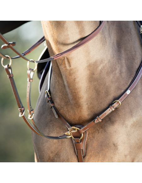 Collier de Chasse HFI Et Martingale Long Bridge Brun