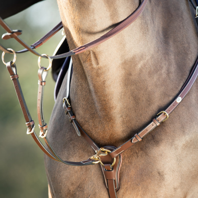 Collier de Chasse HFI Et Martingale Long Bridge Brun