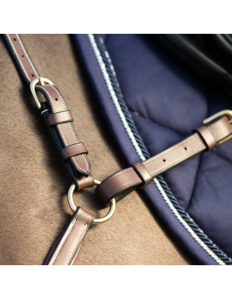 Collier de Chasse HFI Et Martingale Long Bridge Brun