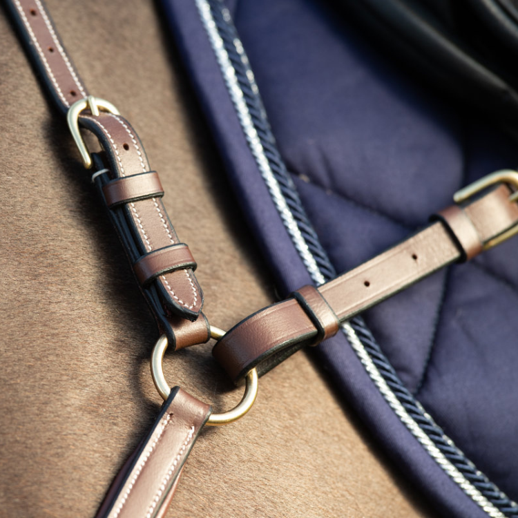 Collier de Chasse HFI Et Martingale Long Bridge Brun