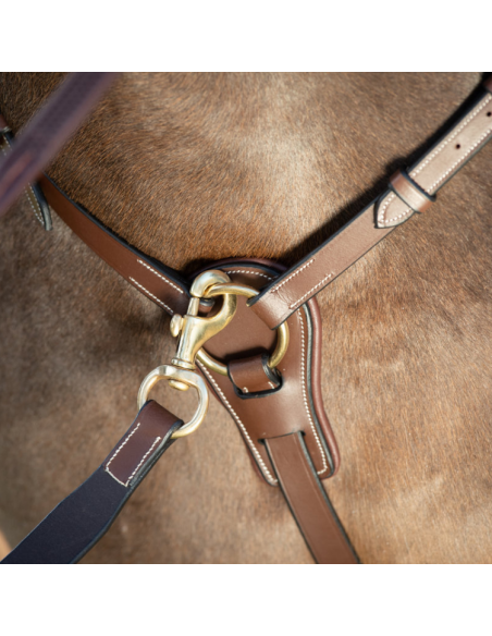 Collier de Chasse HFI Et Martingale Long Bridge Brun