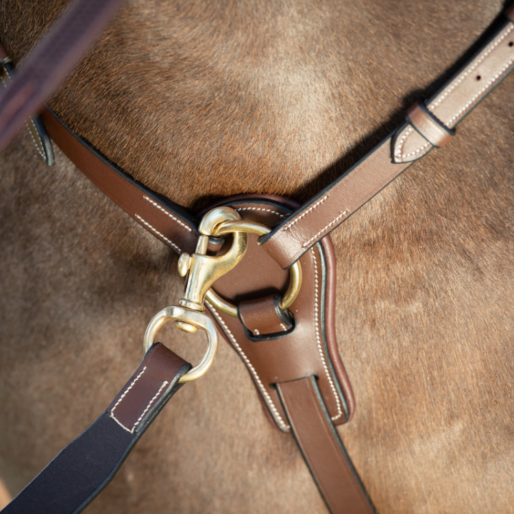Collier de Chasse HFI Et Martingale Long Bridge Brun