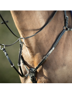 Collier de Chasse HFI Et Martingale Long Bridge Noir