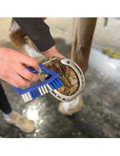 Kelcie With Brush Hoof Pick Blue 2