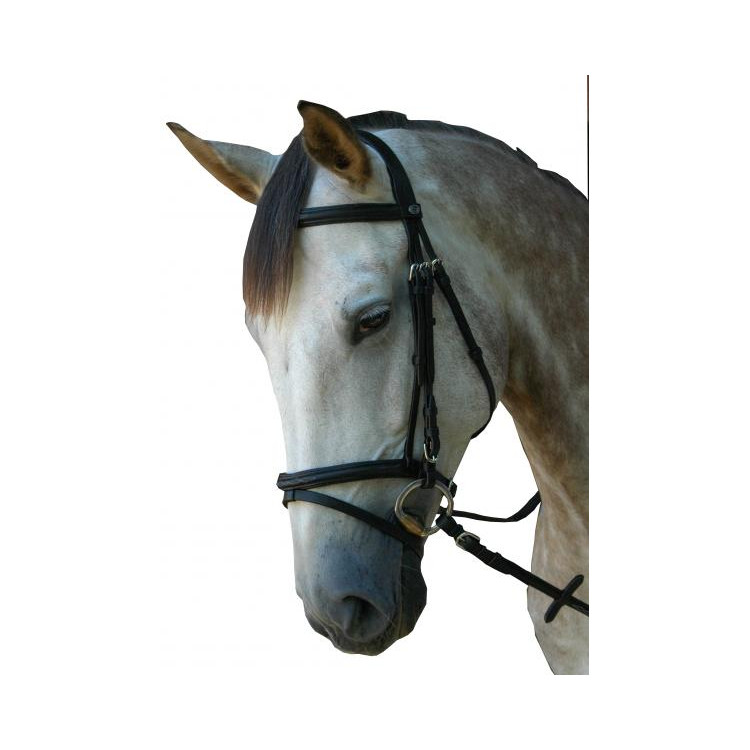 Bridon Privilège Equitation Royan...