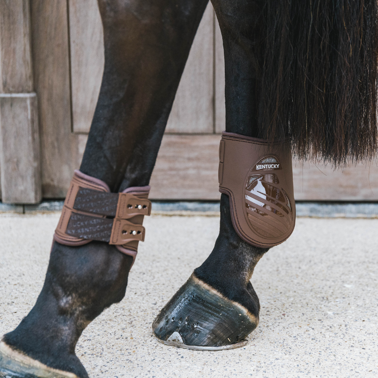 Protège-Boulet Kentucky Elastique Marron