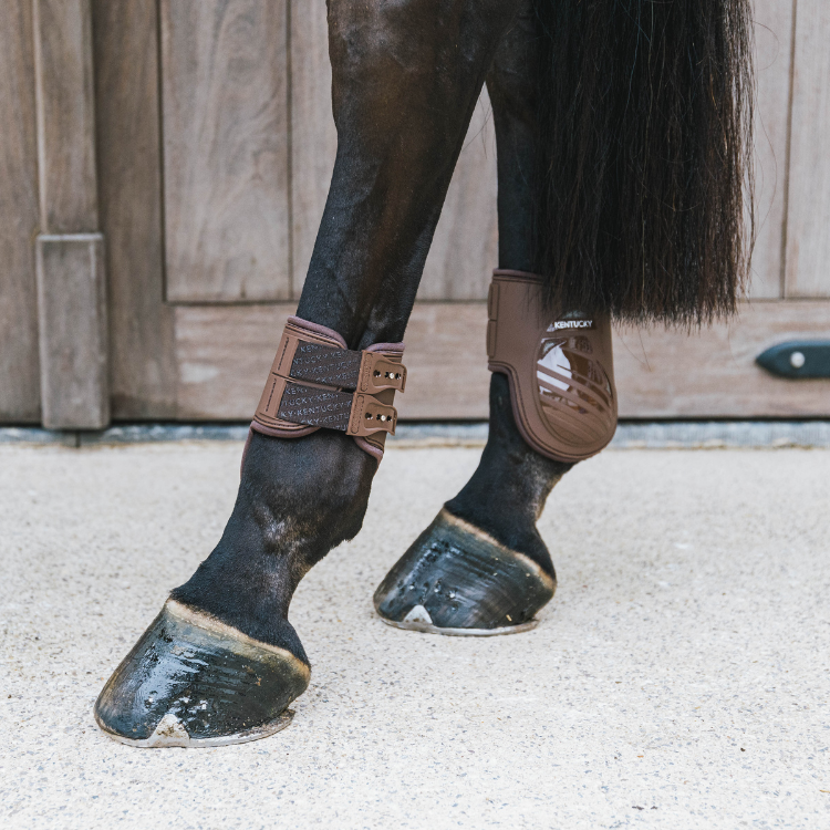 Protège-Boulet Kentucky Elastique Marron