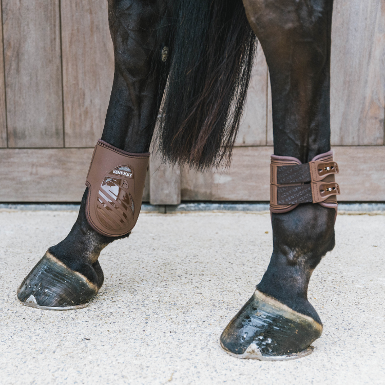 Protège-Boulet Kentucky Elastique Marron