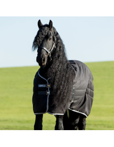 Horseware Rambo Stable 400G Black Edition Rug 2