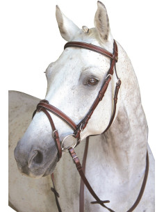 Bridon Lexington Chicago