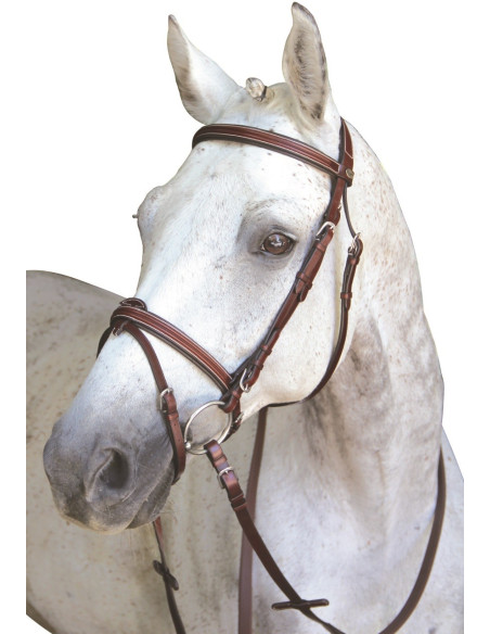 Bridon Lexington Chicago