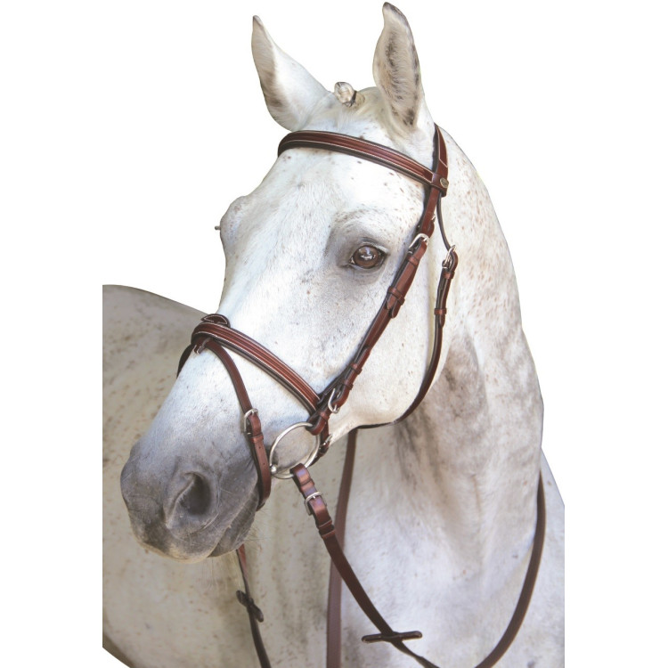 Bridon Lexington Chicago