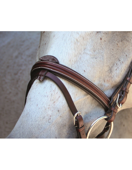 Bridon Lexington Chicago