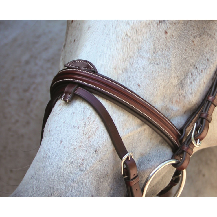 Bridon Lexington Chicago