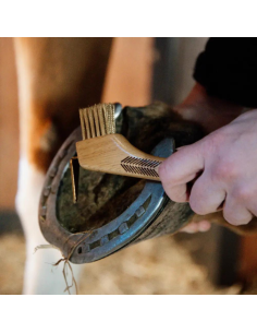 Grooming Deluxe Metal Hair Hoof Pick 2
