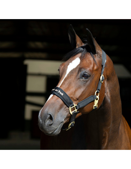 Licol Back On Track "Werano" Noir