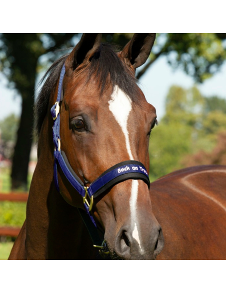 Licol Back On Track "Werano" Marine