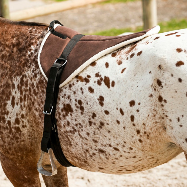 Tapis de Monte À Cru Norton "Soft" Marron/beige