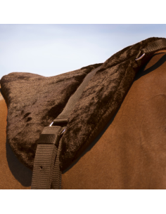 Norton "Confort" Bareback Riding Pad Brown 2