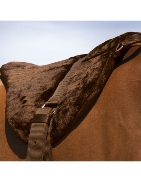 Tapis de Monte À Cru Norton "Confort" Brun