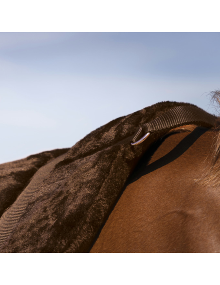 Tapis de Monte À Cru Norton "Confort" Brun