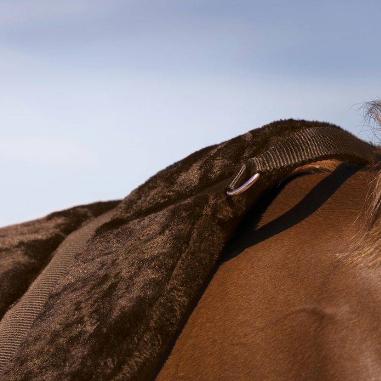Tapis de Monte À Cru Norton "Confort" Brun