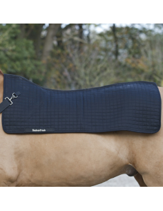 Chauffe Dos Back On Track Royal 2