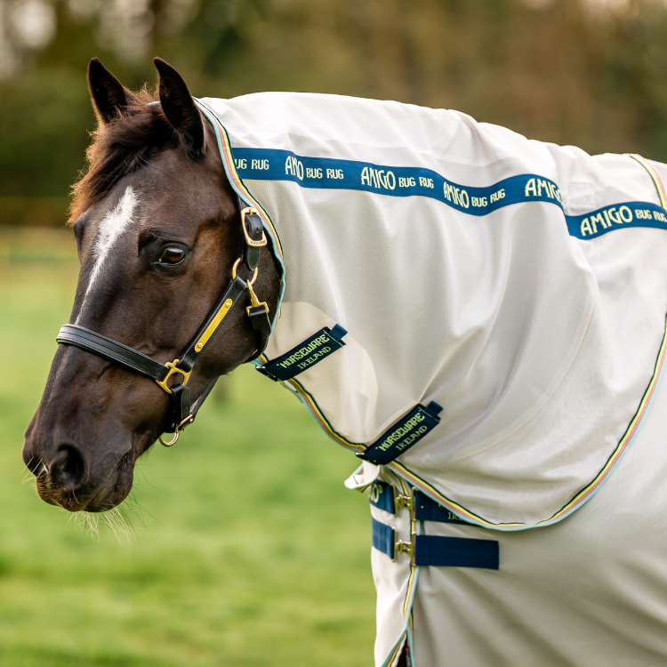 Chemise anti-mouches Horseware Amigo Bug Rug lunar rock