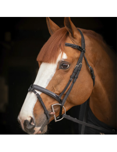 Penelope "Oxford" Bridle Black