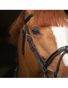 Penelope "Oxford" Bridle Black 2