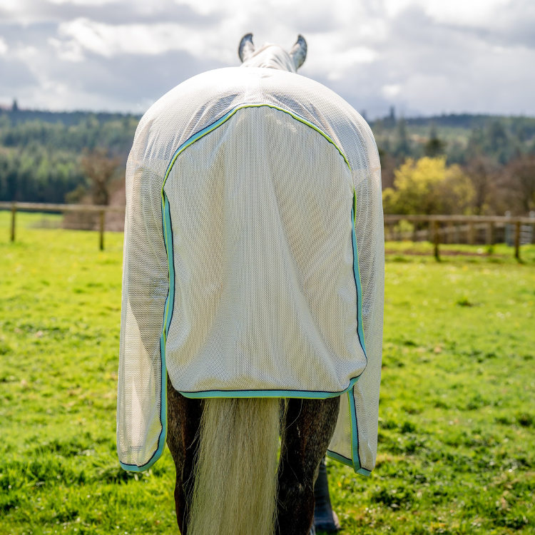 Chemise Horseware Amigo Bug Buster craie/bleu