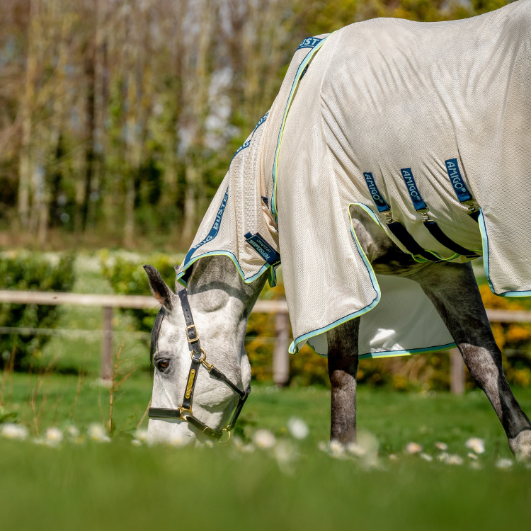 Chemise Horseware Amigo Bug Buster craie/bleu