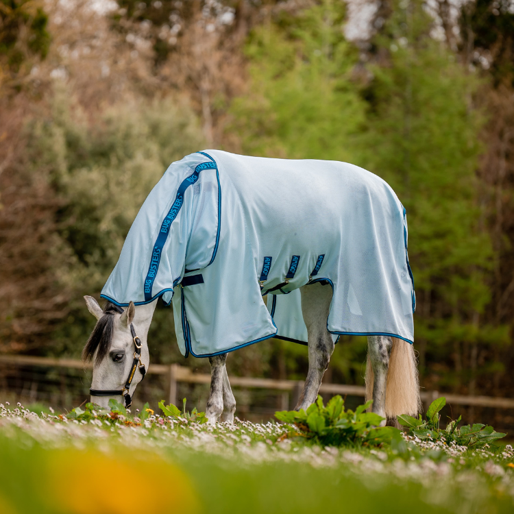 Chemise Horseware Amigo Bug Buster bleu azure/bleu electrique