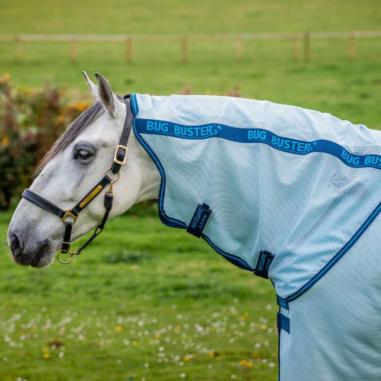 Chemise Horseware Amigo Bug Buster bleu azure/bleu electrique