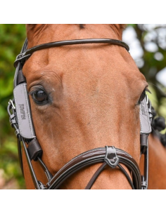 Jump'In Week Removable Blinkers