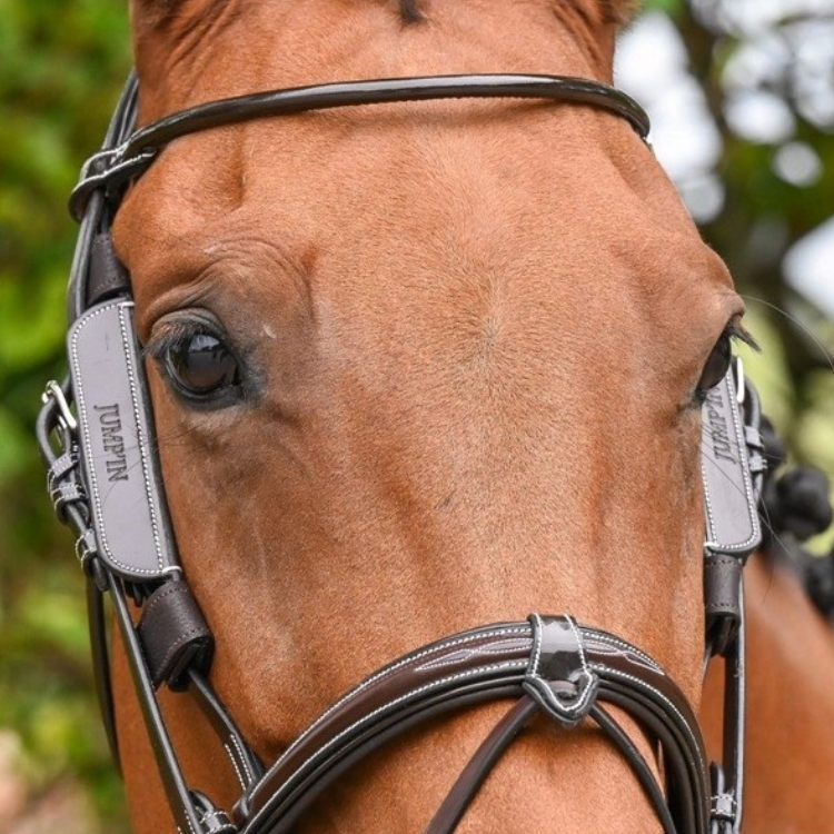 Oeillères Jump'In Week Amovibles HAVANE