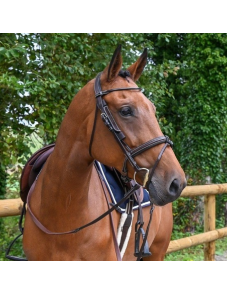 Oeillères Jump'In Week Amovibles HAVANE