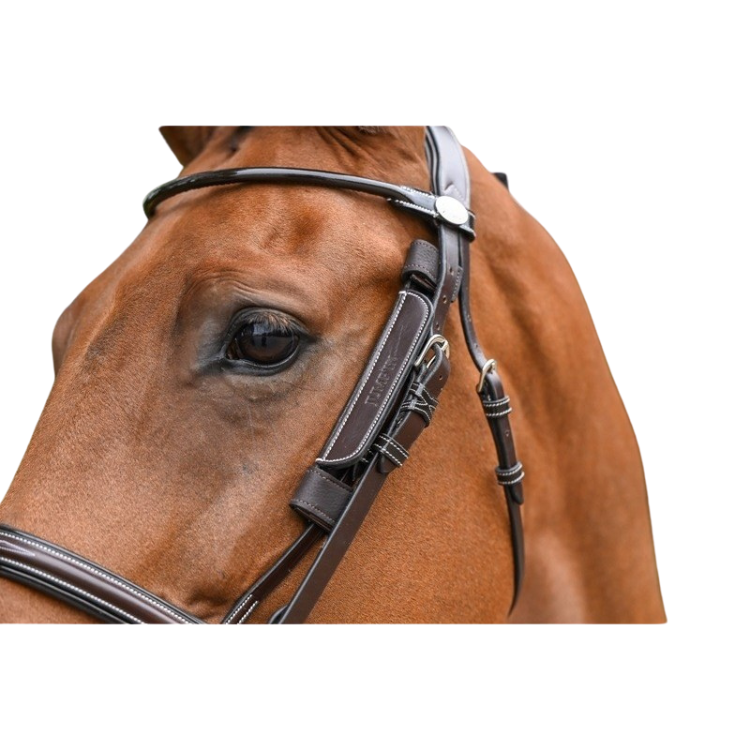 Oeillères Jump'In Week Amovibles HAVANE