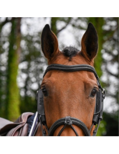 Jump'In Week Removable Blinkers 2