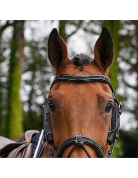 Oeillères Jump'In Week Amovibles NOIR