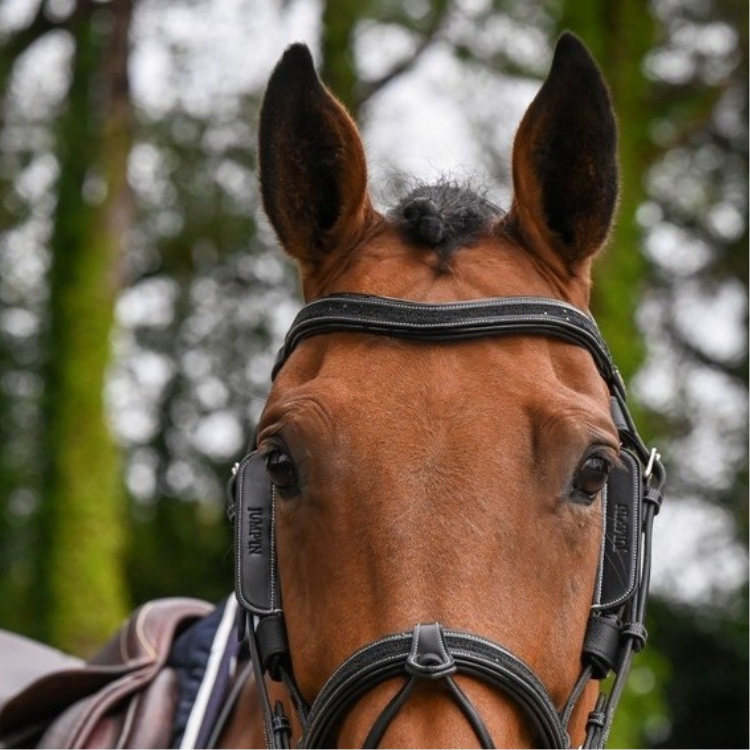 Oeillères Jump'In Week Amovibles NOIR